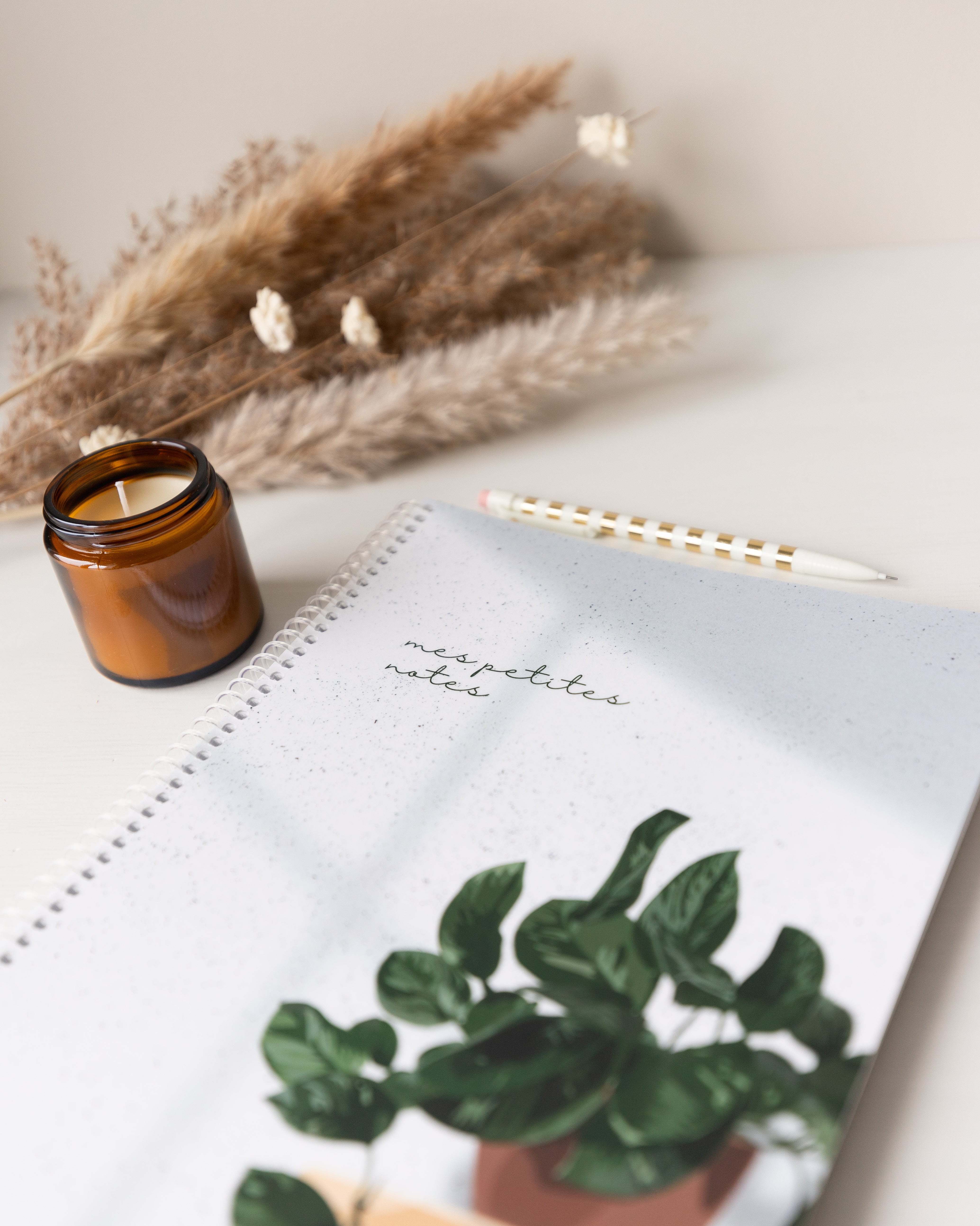 Accessoires de papeterie pour professeurs, éducatrices ou autres métiers dans le domaine de l'éducation.