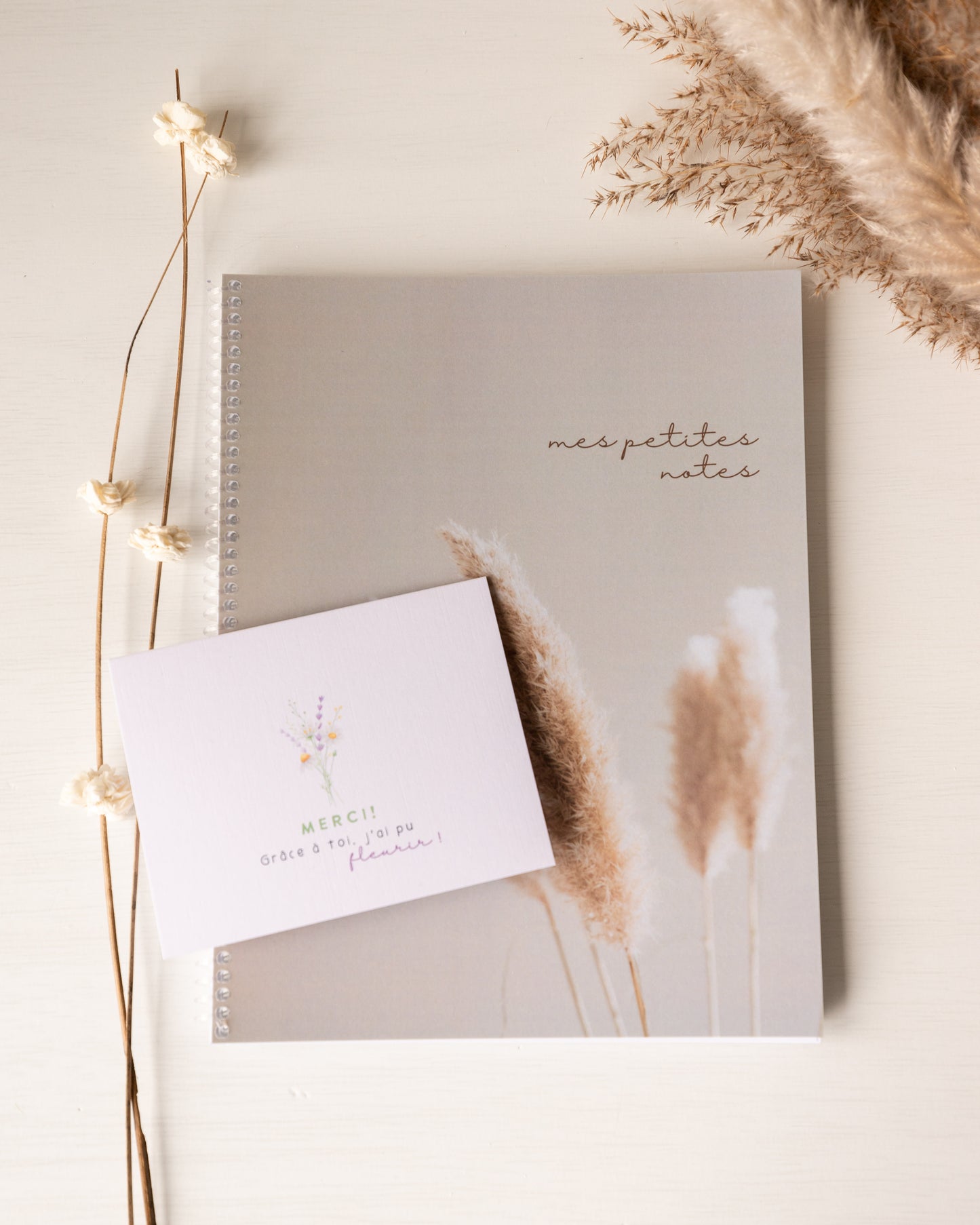 Ensemble cadeau • Les pampas