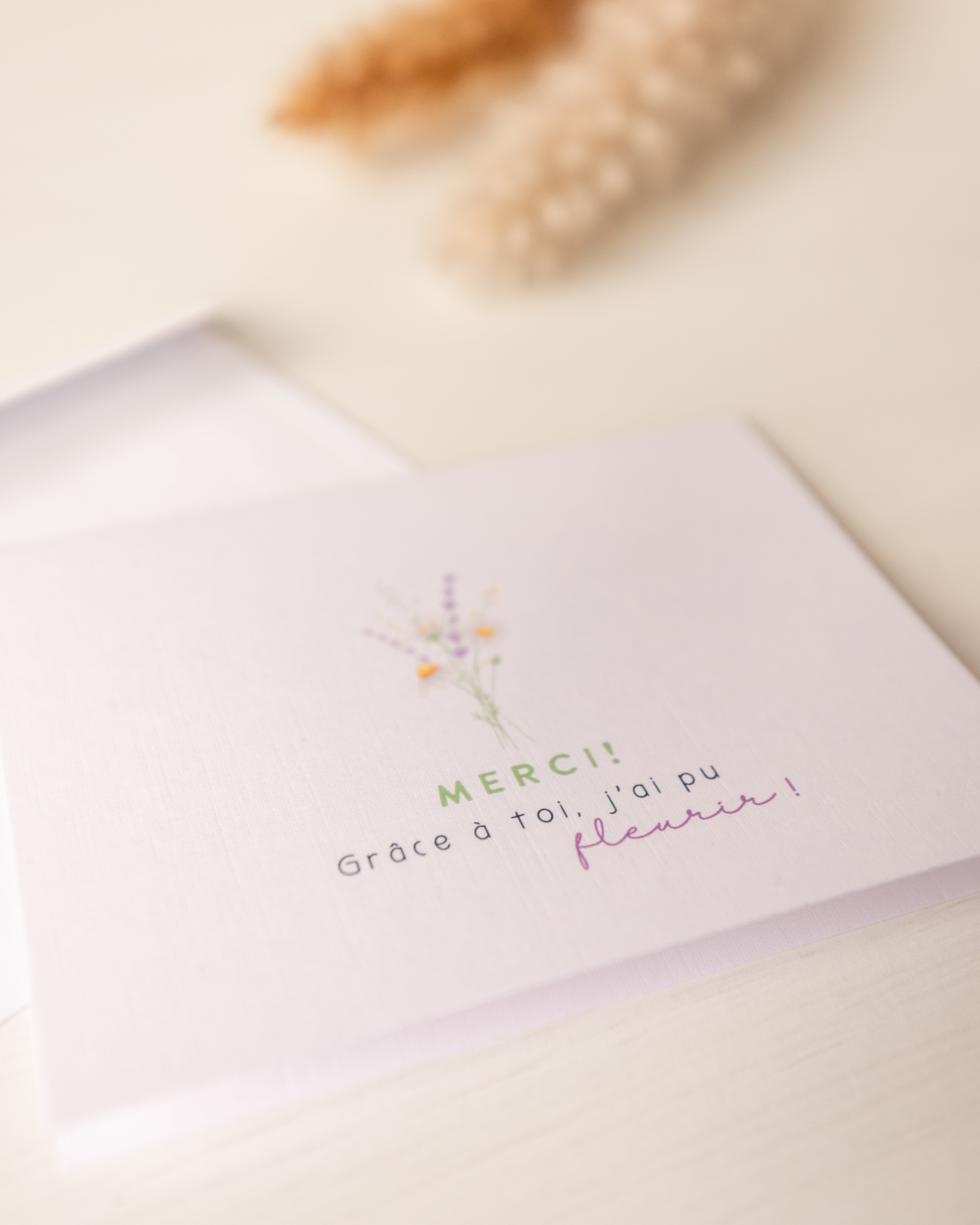 Accessoires de papeterie pour professeurs, éducatrices ou autres métiers dans le domaine de l'éducation.