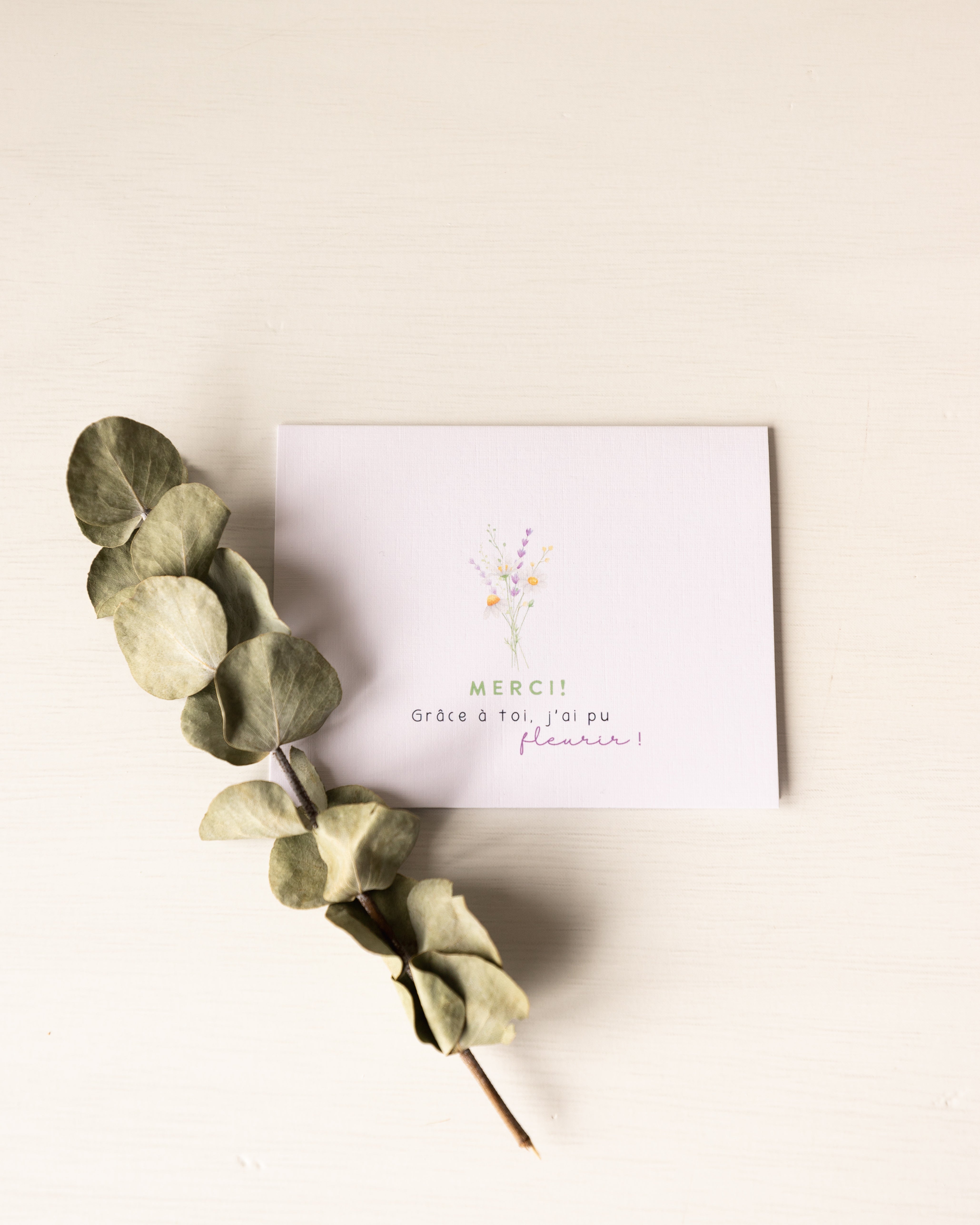 Accessoires de papeterie pour professeurs, éducatrices ou autres métiers dans le domaine de l'éducation.