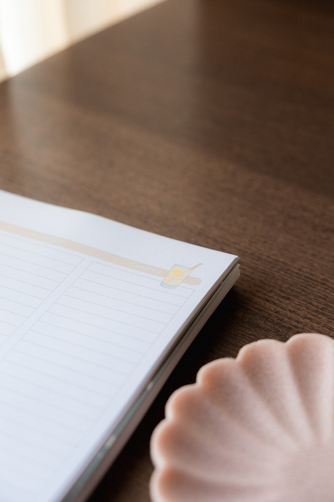 Agenda • Étudiant sans stage