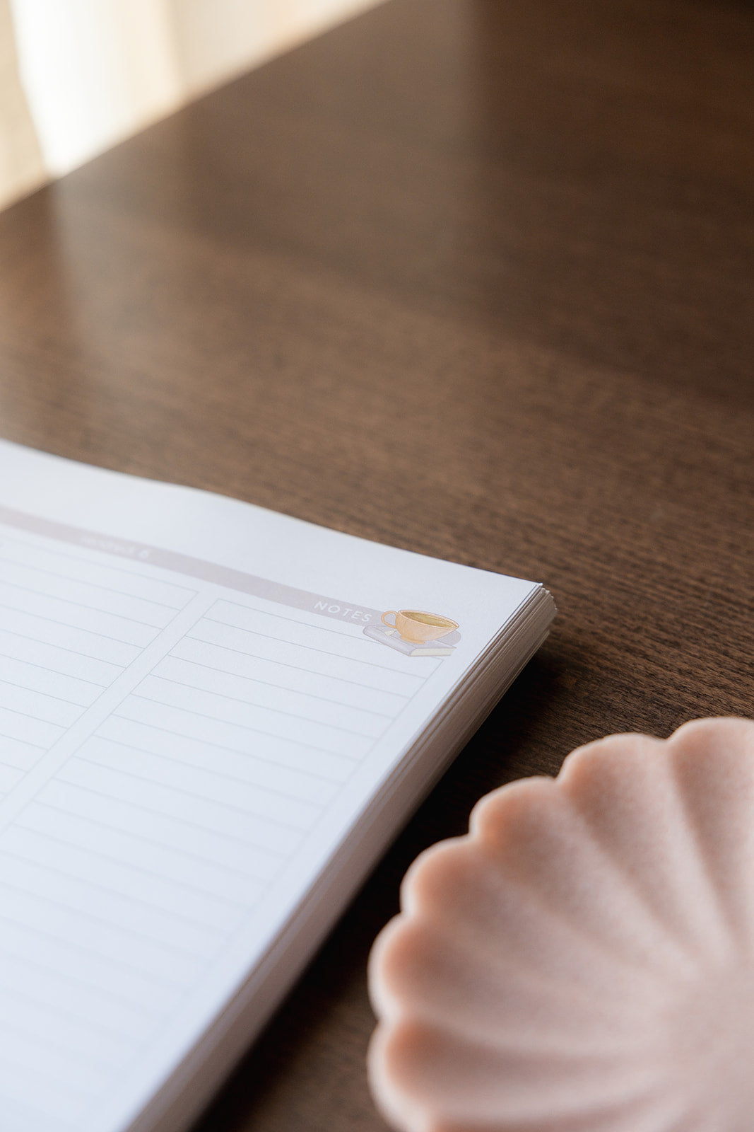 Agenda • Étudiant sans stage