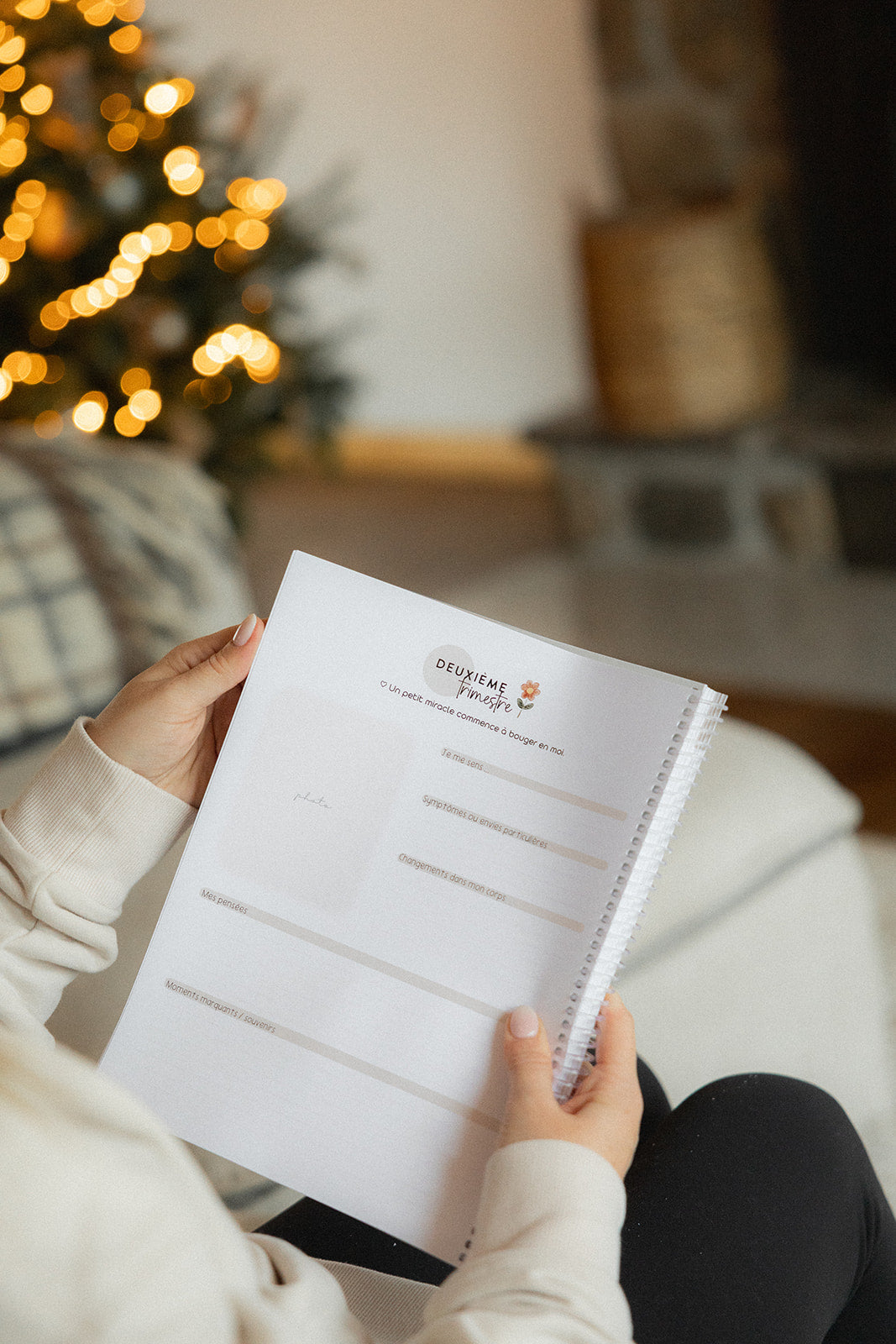 Notre petite histoire • floraison