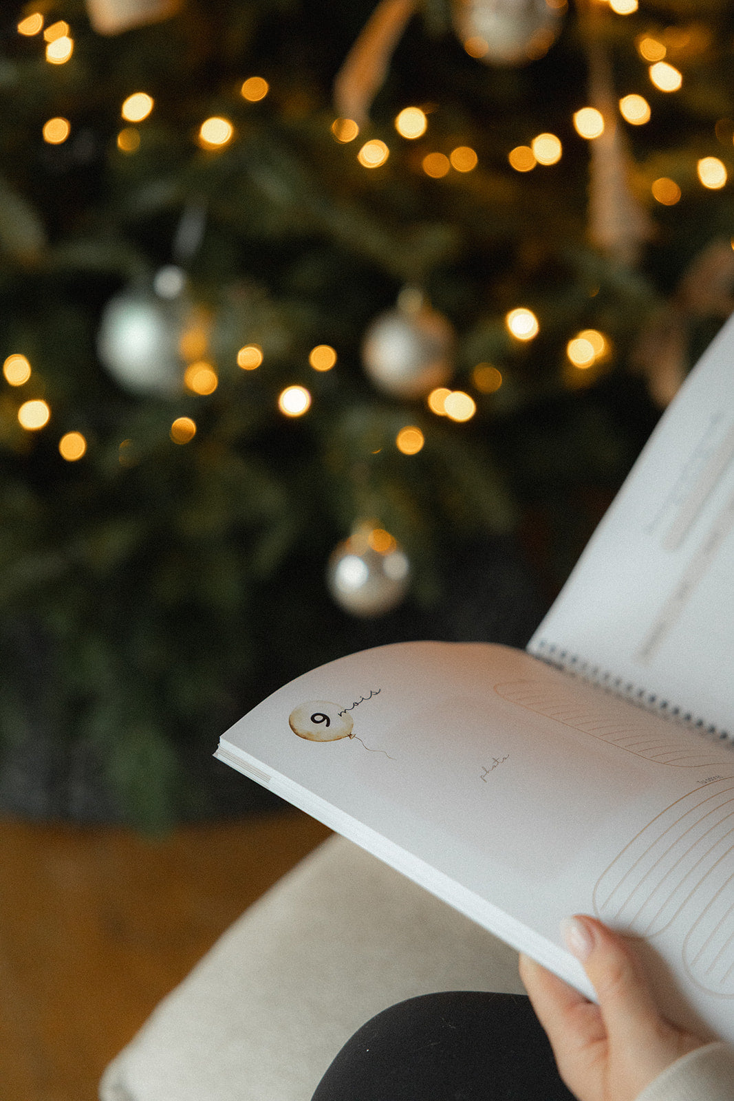 Notre petite histoire • floraison