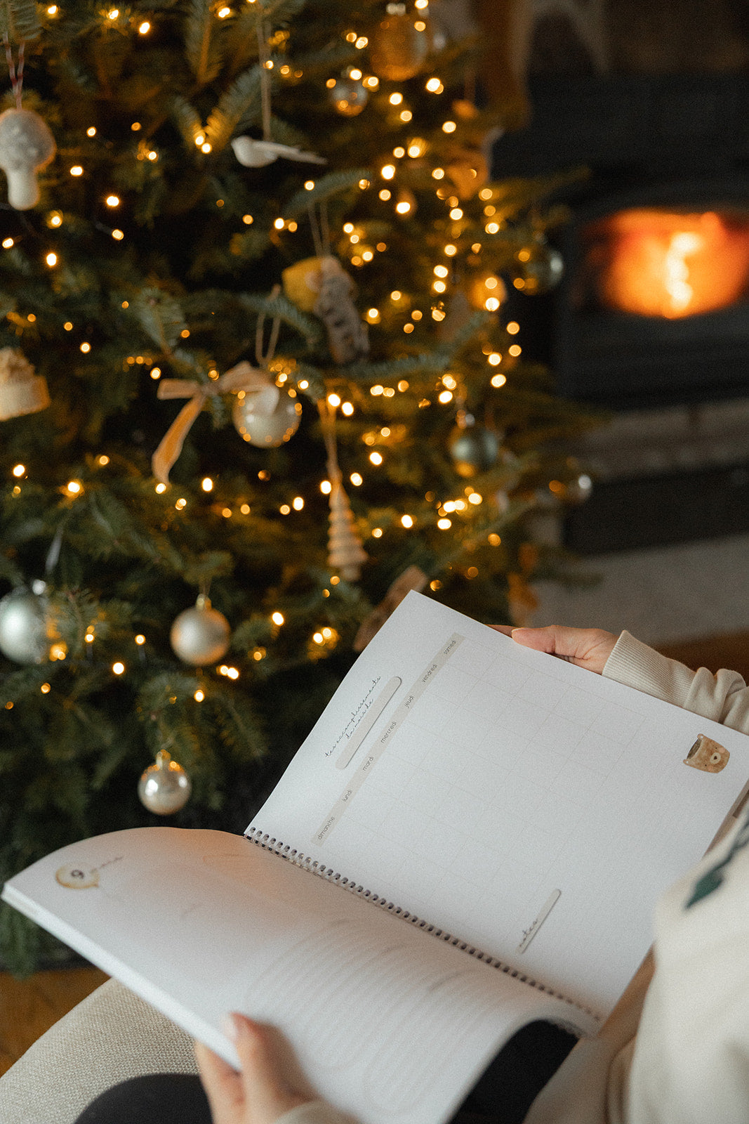 Notre petite histoire • floraison