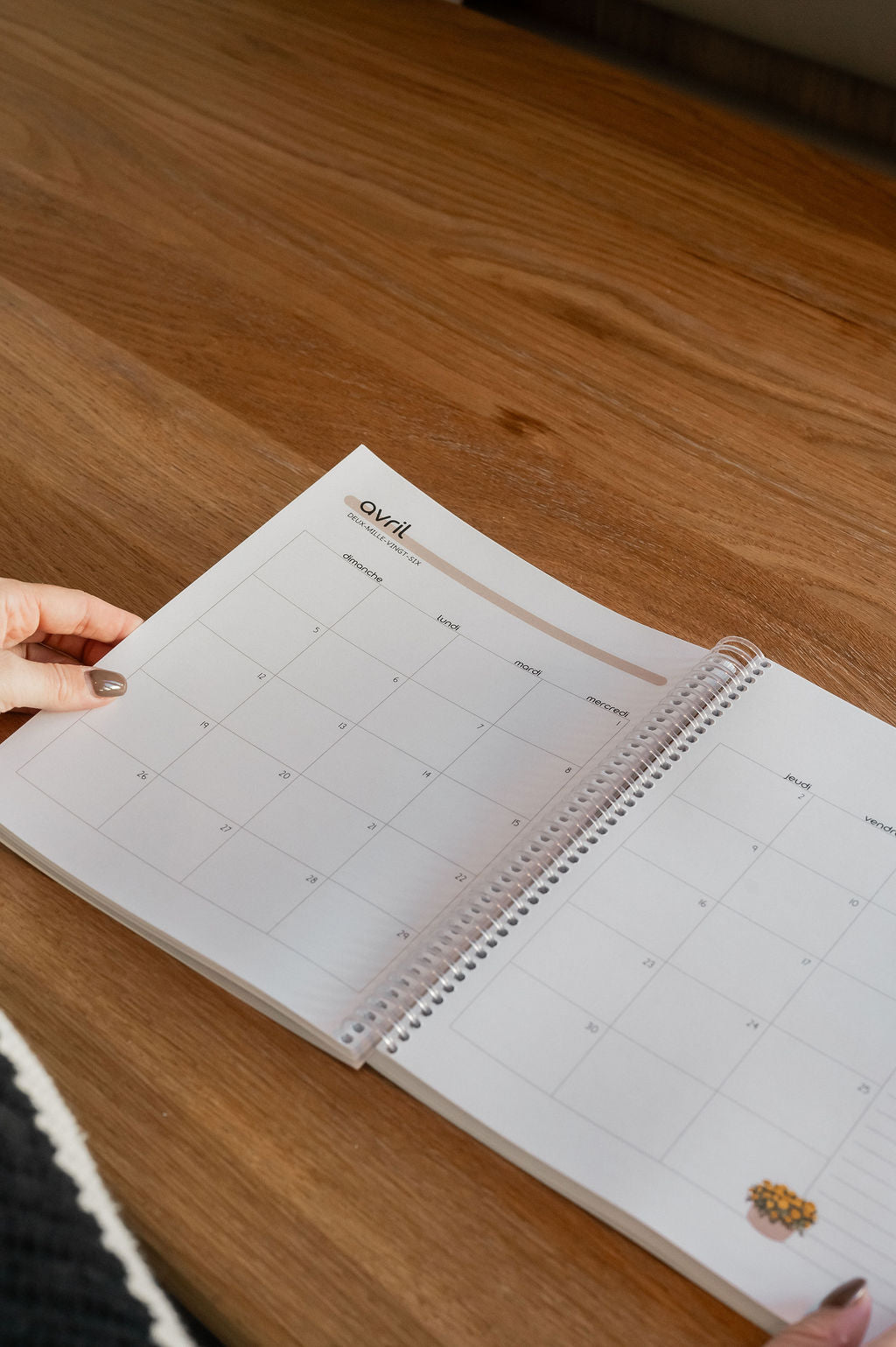 Agenda • Grand public 2026