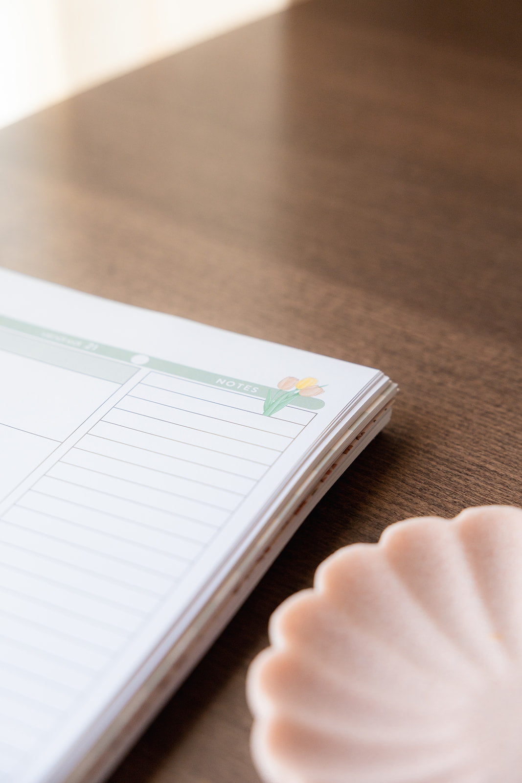 Agenda • 5 périodes