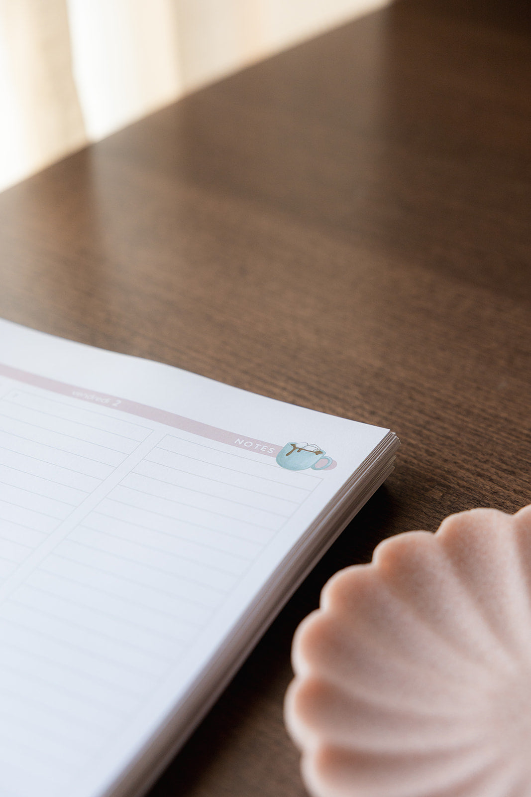 Agenda • Étudiant sans stage